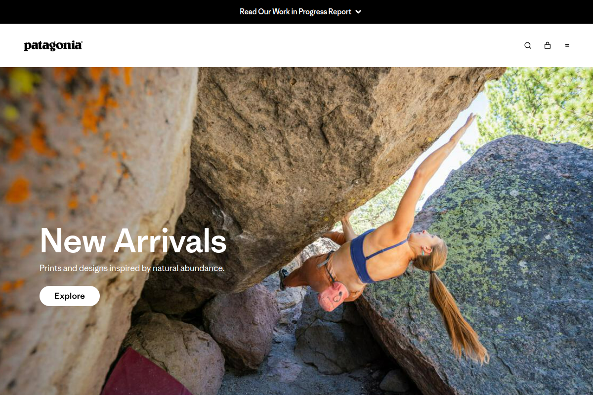 Patagonia Trust Issues Second Annual Climate Report